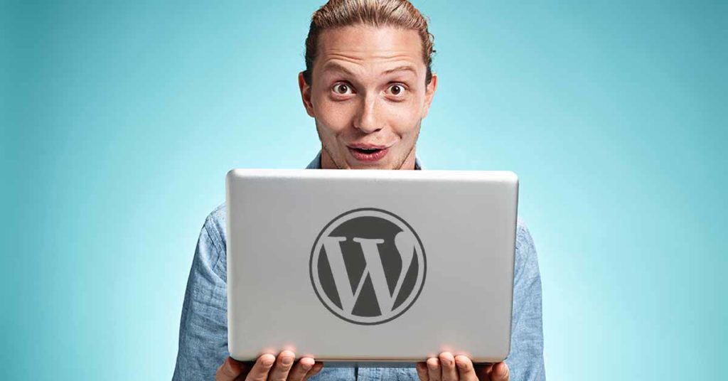 30% of the Top 10 Million Websites Are Powered By WordPress